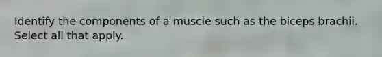 Identify the components of a muscle such as the biceps brachii. Select all that apply.