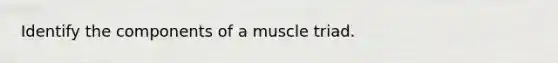 Identify the components of a muscle triad.