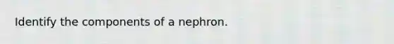 Identify the components of a nephron.