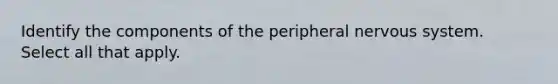 Identify the components of the peripheral nervous system. Select all that apply.