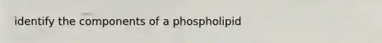 identify the components of a phospholipid