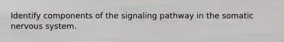 Identify components of the signaling pathway in the somatic nervous system.