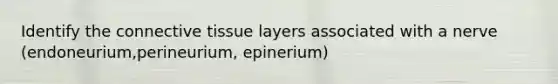 Identify the connective tissue layers associated with a nerve (endoneurium,perineurium, epinerium)