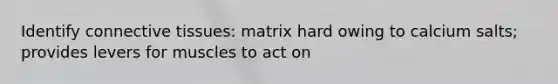 Identify connective tissues: matrix hard owing to calcium salts; provides levers for muscles to act on