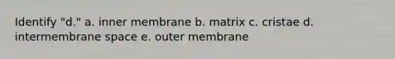 Identify "d." a. inner membrane b. matrix c. cristae d. intermembrane space e. outer membrane