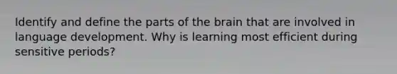 Identify and define the parts of the brain that are involved in language development. Why is learning most efficient during sensitive periods?