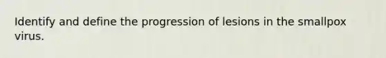 Identify and define the progression of lesions in the smallpox virus.