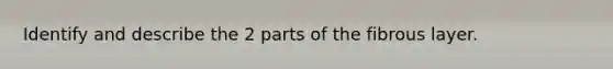 Identify and describe the 2 parts of the fibrous layer.