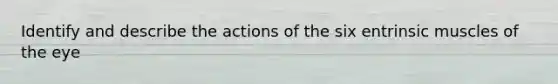 Identify and describe the actions of the six entrinsic muscles of the eye