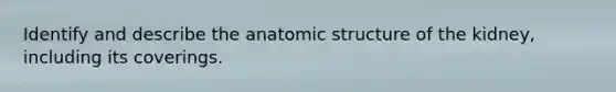 Identify and describe the an<a href='https://www.questionai.com/knowledge/kFm8mWrQzt-atomic-structure' class='anchor-knowledge'>atomic structure</a> of the kidney, including its coverings.