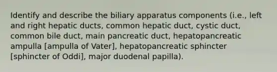 Identify and describe the biliary apparatus components (i.e., left and right hepatic ducts, common hepatic duct, cystic duct, common bile duct, main pancreatic duct, hepatopancreatic ampulla [ampulla of Vater], hepatopancreatic sphincter [sphincter of Oddi], major duodenal papilla).