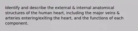 Identify and describe the external & internal anatomical structures of the human heart, including the major veins & arteries entering/exiting the heart, and the functions of each component.