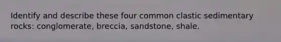 Identify and describe these four common <a href='https://www.questionai.com/knowledge/k3KDGUjwmO-clastic-sedimentary-rocks' class='anchor-knowledge'>clastic sedimentary rocks</a>: conglomerate, breccia, sandstone, shale.