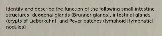 Identify and describe the function of the following small intestine structures: duodenal glands (Brunner glands), intestinal glands (crypts of Lieberkuhn), and Peyer patches (lymphoid [lymphatic] nodules)