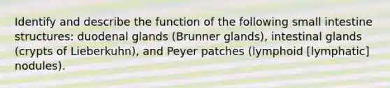 Identify and describe the function of the following small intestine structures: duodenal glands (Brunner glands), intestinal glands (crypts of Lieberkuhn), and Peyer patches (lymphoid [lymphatic] nodules).