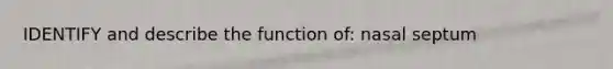 IDENTIFY and describe the function of: nasal septum