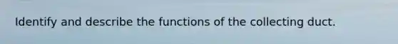 Identify and describe the functions of the collecting duct.