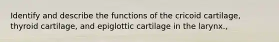 Identify and describe the functions of the cricoid cartilage, thyroid cartilage, and epiglottic cartilage in the larynx.,