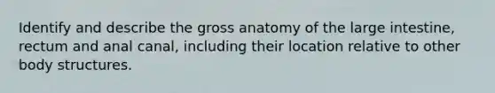 Identify and describe the gross anatomy of the large intestine, rectum and anal canal, including their location relative to other body structures.