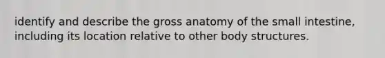 identify and describe the gross anatomy of <a href='https://www.questionai.com/knowledge/kt623fh5xn-the-small-intestine' class='anchor-knowledge'>the small intestine</a>, including its location relative to other body structures.