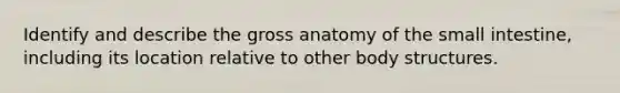 Identify and describe the gross anatomy of the small intestine, including its location relative to other body structures.