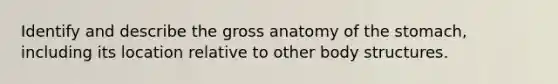 Identify and describe the gross anatomy of the stomach, including its location relative to other body structures.