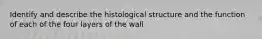 Identify and describe the histological structure and the function of each of the four layers of the wall