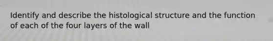 Identify and describe the histological structure and the function of each of the four layers of the wall