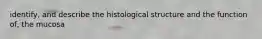 identify, and describe the histological structure and the function of, the mucosa