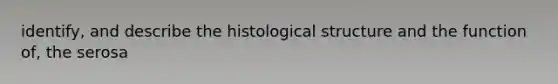 identify, and describe the histological structure and the function of, the serosa