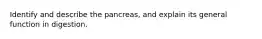 Identify and describe the pancreas, and explain its general function in digestion.