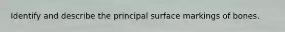 Identify and describe the principal surface markings of bones.