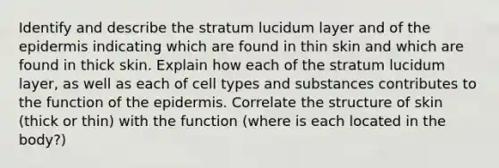 Identify and describe the stratum lucidum layer and of the epidermis indicating which are found in thin skin and which are found in thick skin. Explain how each of the stratum lucidum layer, as well as each of cell types and substances contributes to the function of the epidermis. Correlate the structure of skin (thick or thin) with the function (where is each located in the body?)