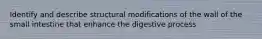 Identify and describe structural modifications of the wall of the small intestine that enhance the digestive process