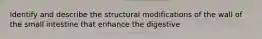 Identify and describe the structural modifications of the wall of the small intestine that enhance the digestive