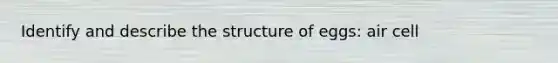 Identify and describe the structure of eggs: air cell