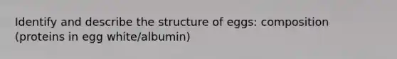 Identify and describe the structure of eggs: composition (proteins in egg white/albumin)