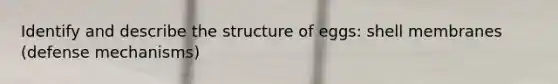 Identify and describe the structure of eggs: shell membranes (defense mechanisms)