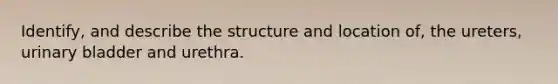 Identify, and describe the structure and location of, the ureters, urinary bladder and urethra.