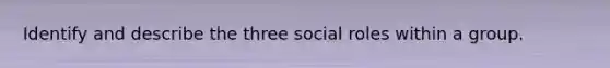 Identify and describe the three social roles within a group.