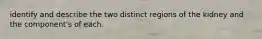 identify and describe the two distinct regions of the kidney and the component's of each.