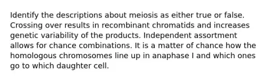 Identify the descriptions about meiosis as either true or false. Crossing over results in recombinant chromatids and increases genetic variability of the products. Independent assortment allows for chance combinations. It is a matter of chance how the homologous chromosomes line up in anaphase I and which ones go to which daughter cell.