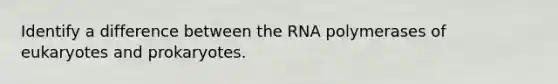 Identify a difference between the RNA polymerases of eukaryotes and prokaryotes.