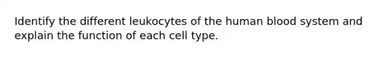 Identify the different leukocytes of the human blood system and explain the function of each cell type.