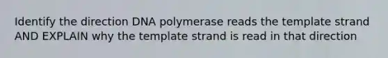 Identify the direction DNA polymerase reads the template strand AND EXPLAIN why the template strand is read in that direction