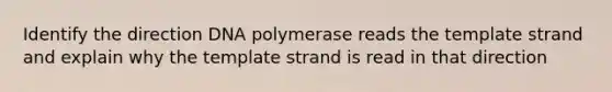 Identify the direction DNA polymerase reads the template strand and explain why the template strand is read in that direction