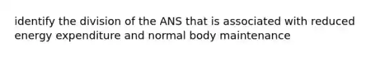 identify the division of the ANS that is associated with reduced energy expenditure and normal body maintenance