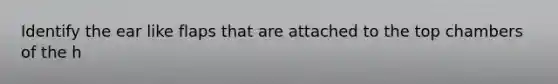 Identify the ear like flaps that are attached to the top chambers of the h