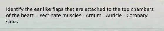 Identify the ear like flaps that are attached to the top chambers of the heart. - Pectinate muscles - Atrium - Auricle - Coronary sinus