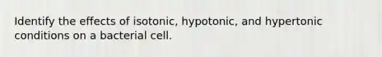 Identify the effects of isotonic, hypotonic, and hypertonic conditions on a bacterial cell.